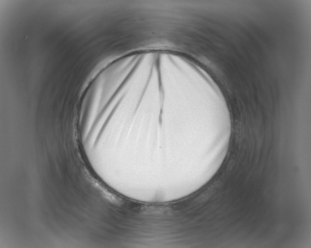 X0000080141374200701051502