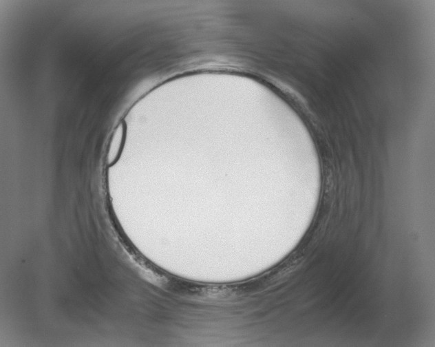 X0000080141375200701051502