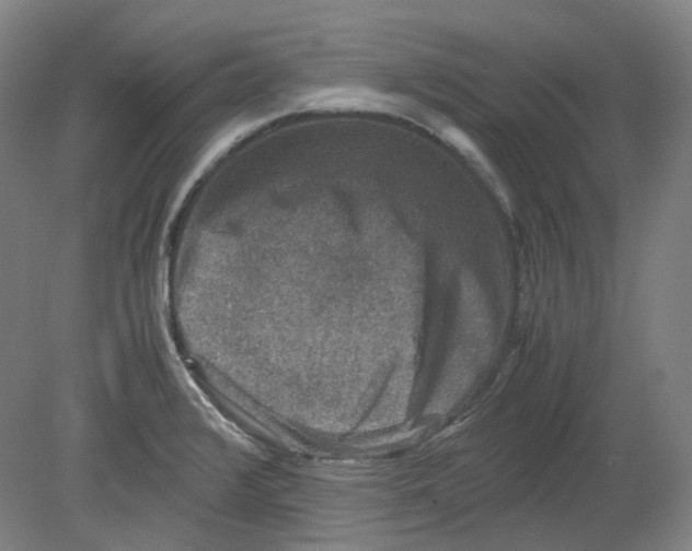 X0000080141376200701051502
