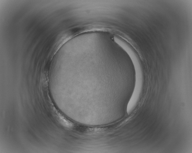 X0000080141377200701051502