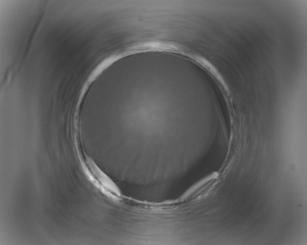 X0000080141381200701051502