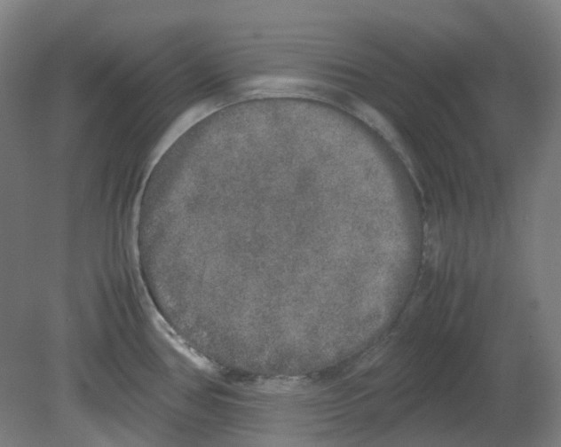 X0000080141386200701051502