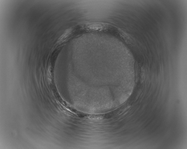 X0000080141394200701051501