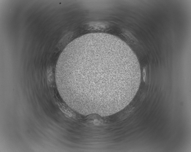 X0000080141395200701051501