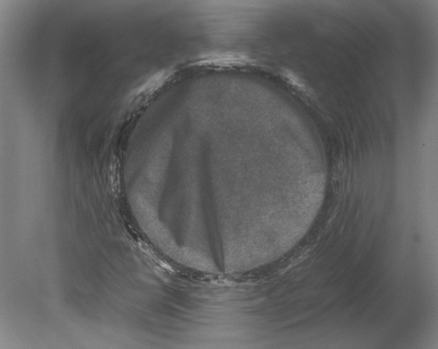 X0000080141398200701051501
