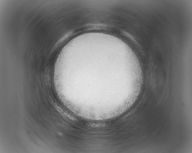 X0000080141403200701051501
