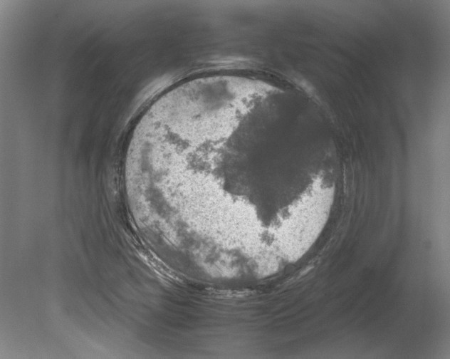 X0000080141405200701051501