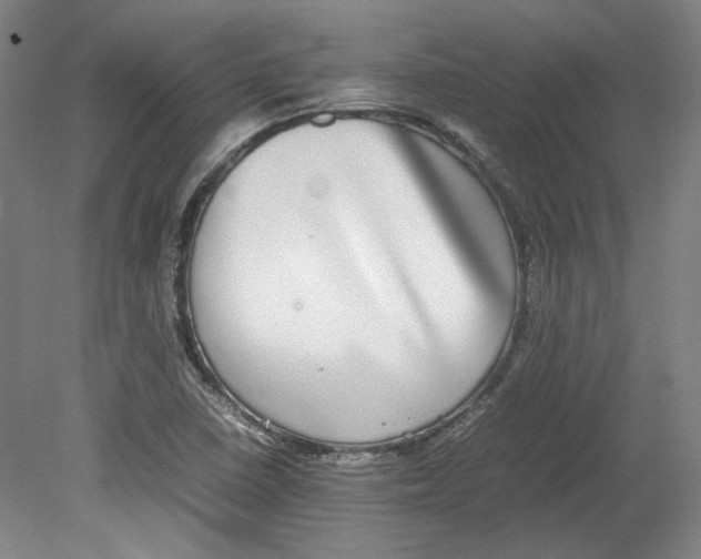 X0000080141410200701051501