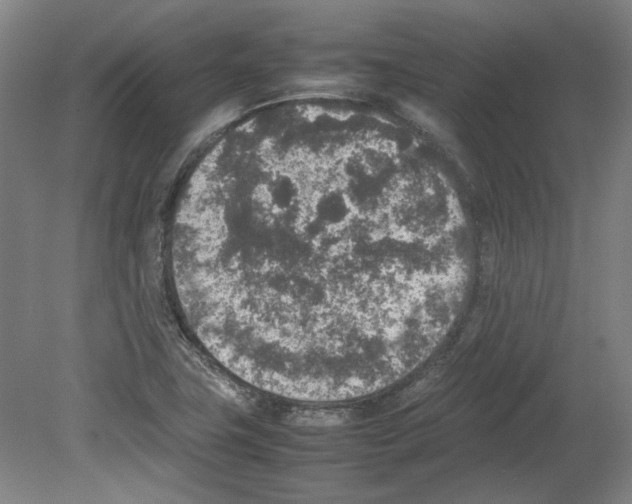 X0000080141411200701051501