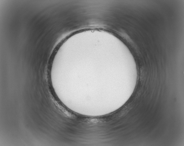 X0000080141412200701051501