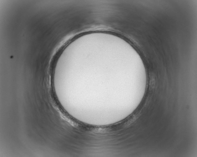X0000080141414200701051501