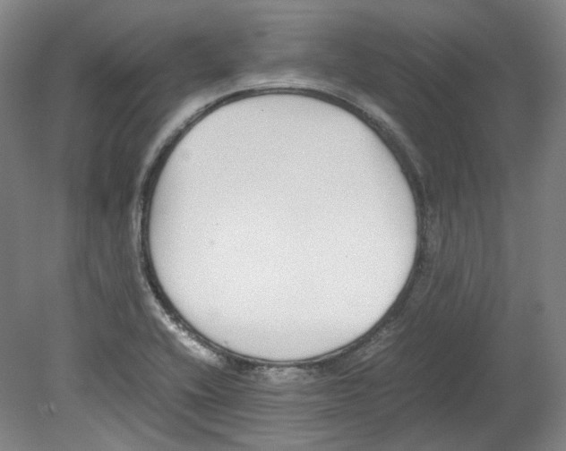 X0000080141416200701051501
