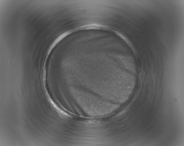 X0000080141418200701051502