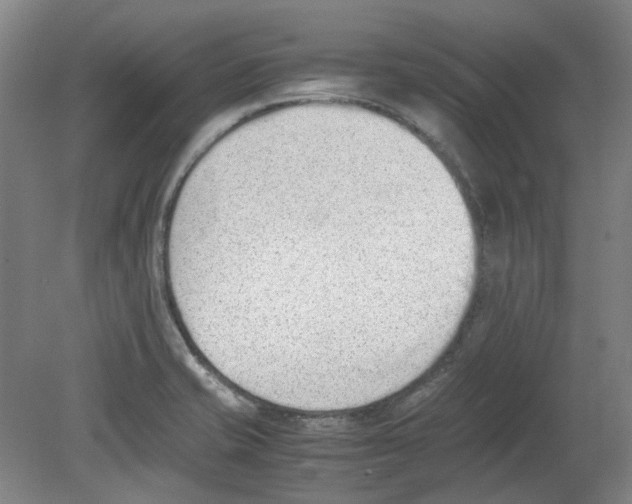 X0000080141421200701051502