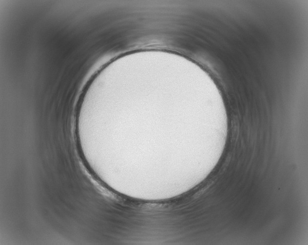 X0000080141424200701051502