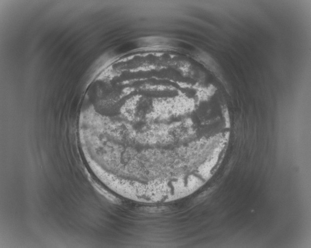 X0000080141425200701051502
