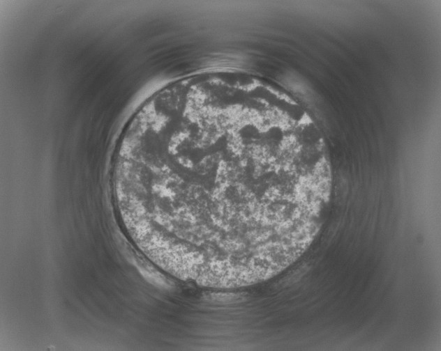 X0000080141427200701051502