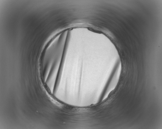 X0000080141430200701051502