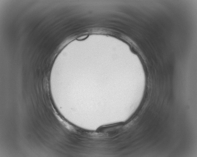 X0000080141433200701051502