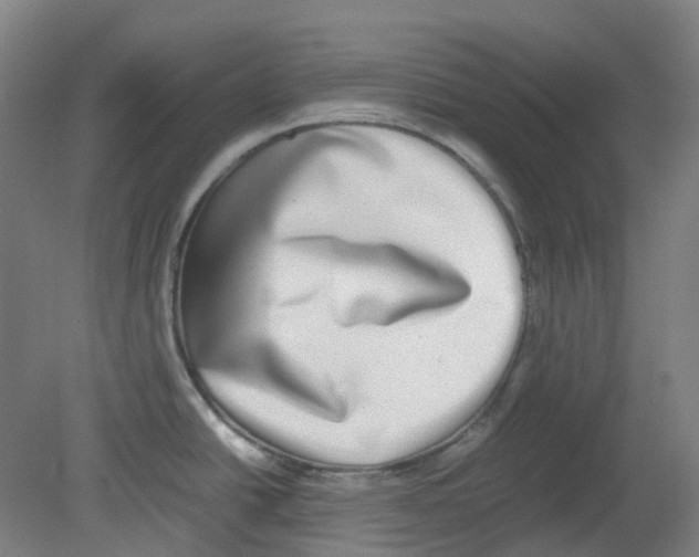 X0000080141438200701051502