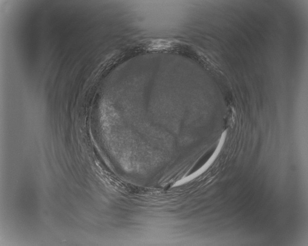 X0000080141441200701051501