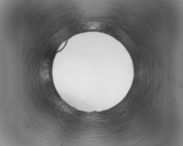 X0000080141442200701051501