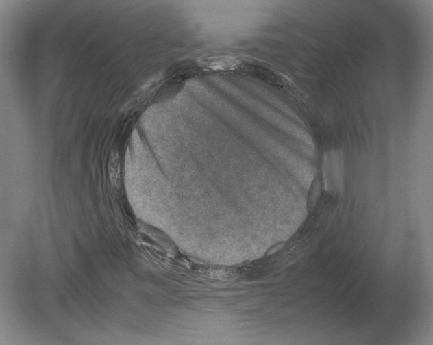 X0000080141443200701051501