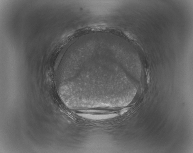 X0000080141445200701051501