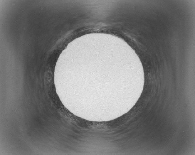 X0000080141447200701051501