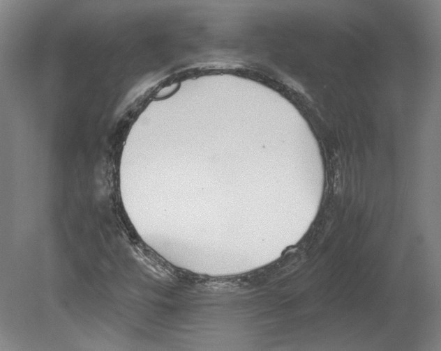 X0000080141448200701051501