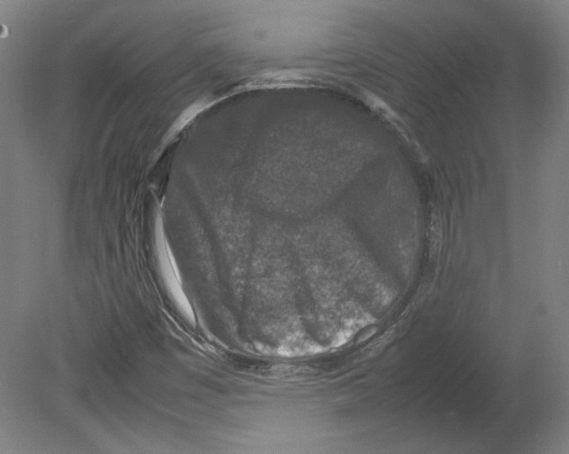 X0000080141449200701051501