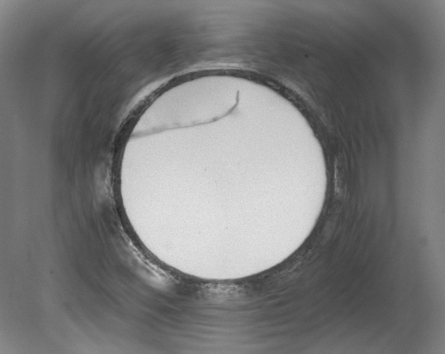 X0000080141452200701051501