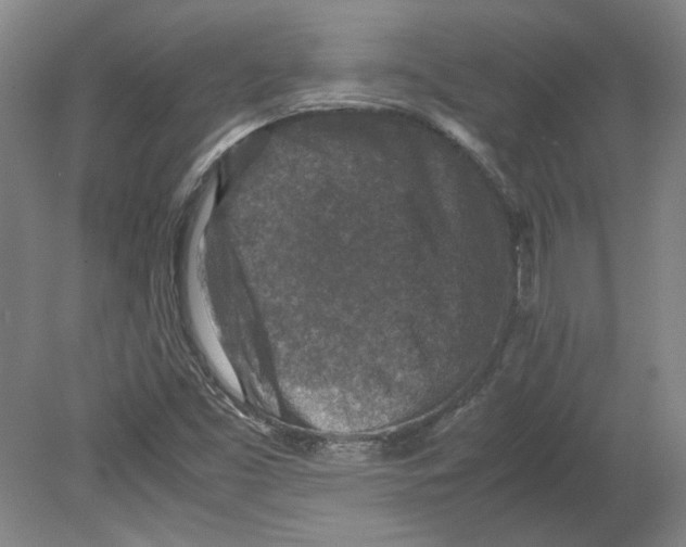 X0000080141453200701051501