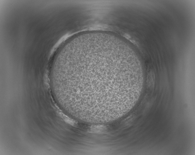 X0000080141454200701051501