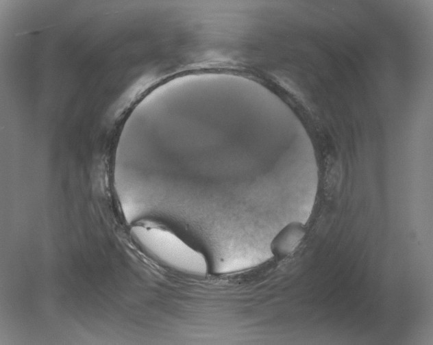 X0000080141455200701051501