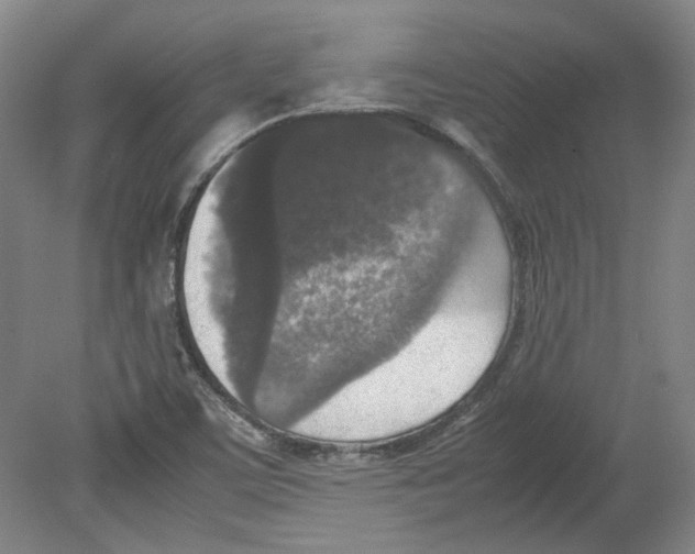 X0000080141459200701051501