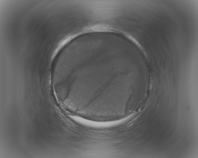 X0000080141461200701051501