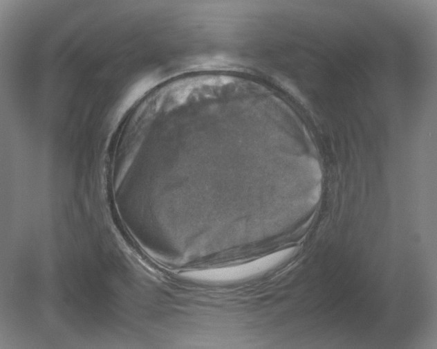X0000080141463200701051501