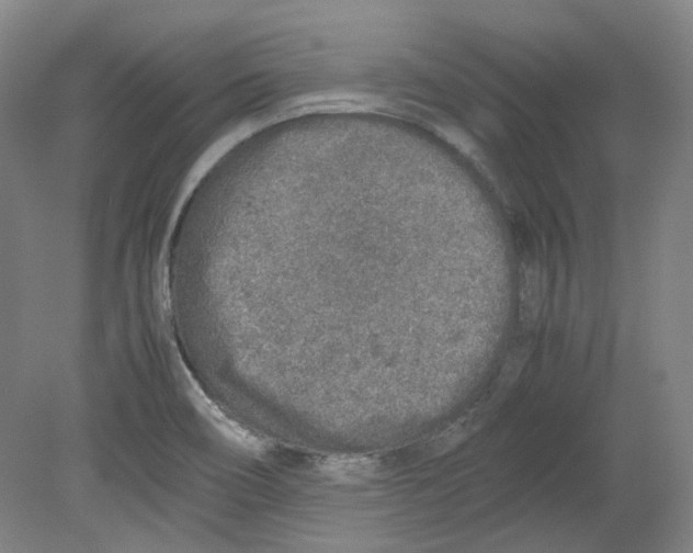 X0000080141466200701051501