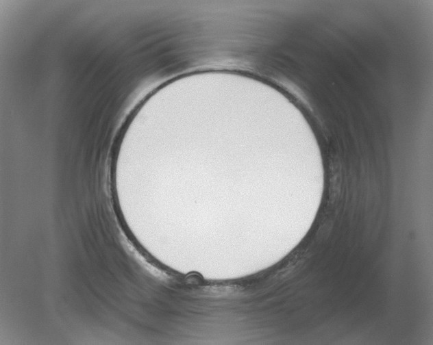 X0000080141468200701051501