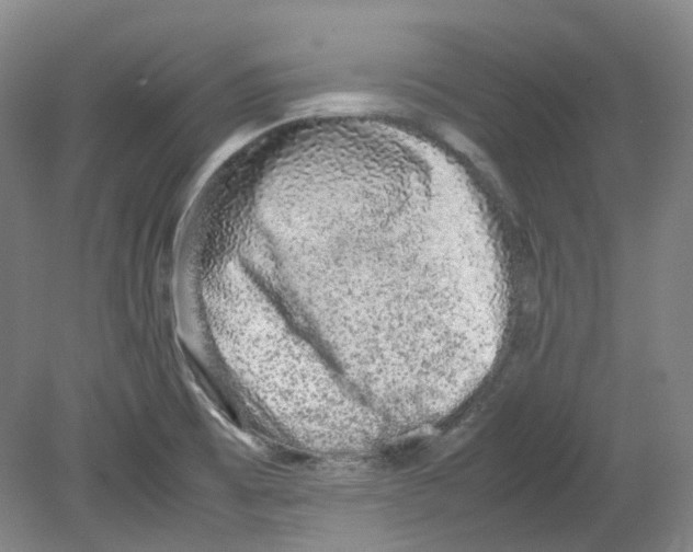 X0000080141473200701051501