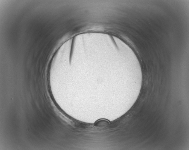 X0000080141475200701051501
