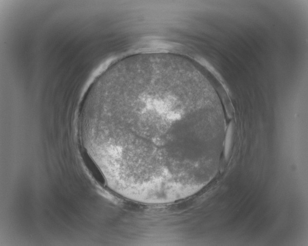 X0000080141477200701051500