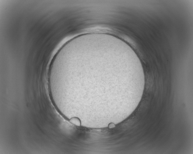 X0000080141478200701051500