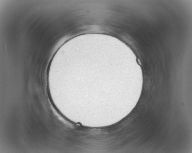 X0000080141479200701051500