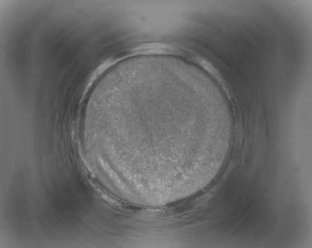 X0000080141481200701051500