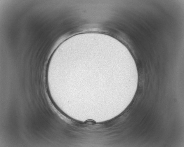 X0000080141483200701051500