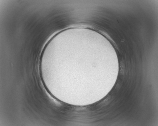 X0000080141484200701051500