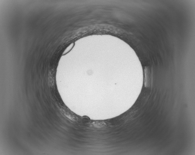 X0000080141491200701051500