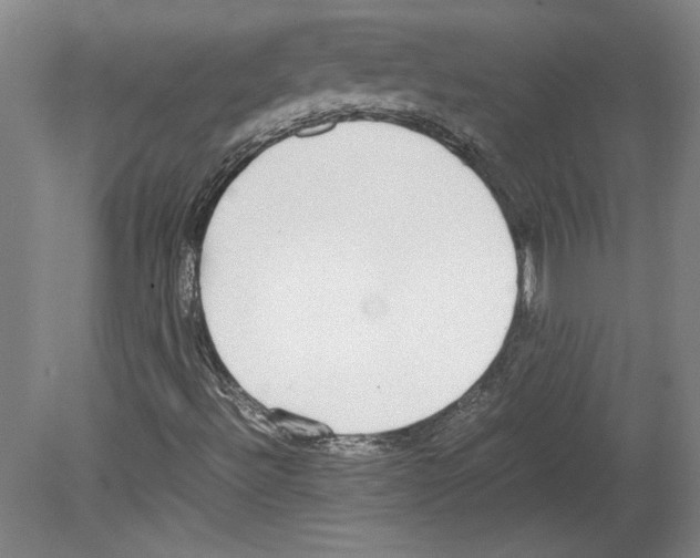 X0000080141492200701051500